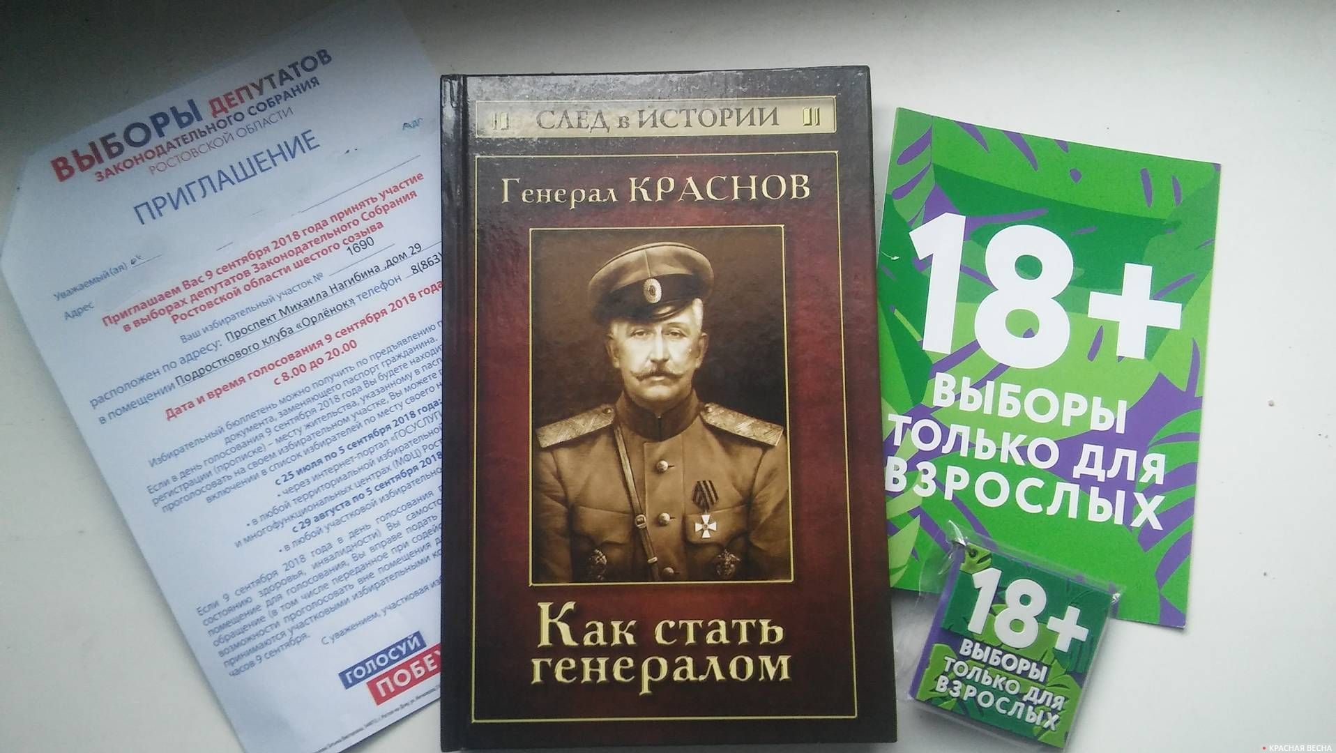 Стань полководцем. Книга генерал Краснов. Книги Генерала Петра Краснова. Пособники книга. Как стать генералом.